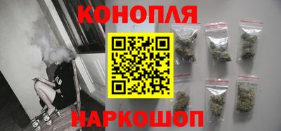 apvp Канаш