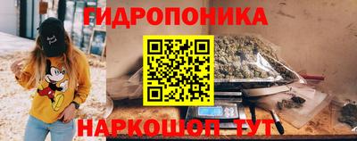 apvp Канаш