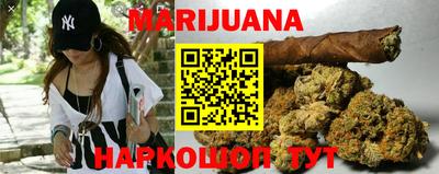 apvp Канаш